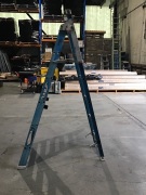 Bailey double sided ladder - 4