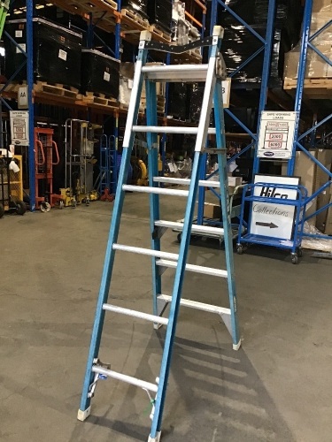 Bailey double sided ladder
