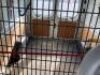2010 Ford Transit Van - 14