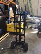 Big steel trolley - 3