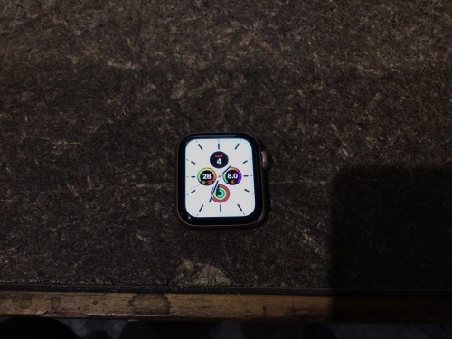 Apple Watch (rose gold) (Active demo model)