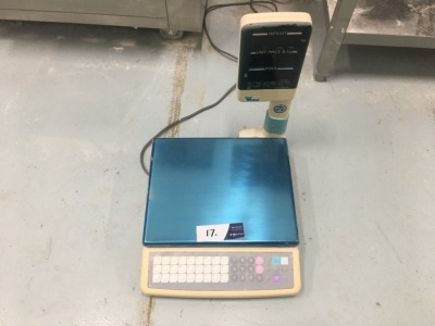 Digi Digital Computing Scales, Model: DS-650