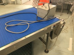 Blue Plastic Slat Endless Belt Conveyor - 2