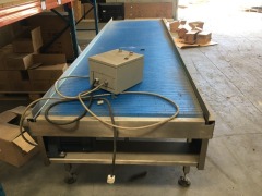 Conveyor, Blue plastic slat belt, 3500 x 900mm, Stainless steel frame - 2