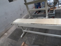 Bag Sealer with Conveyor on Steel Frame
Conveyor Belt 250mm W x 2000mm L - 3