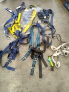Tub of ×5 Miller | Fall Arrest Harness /Polyester - 2