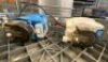 Norris Commercial Dishwasher, Elite Series II BT 500 - 7