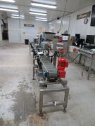 Punnet Labelling Line with conveyor - Twin Domino M Series (2012) Label printers and applicators - 2