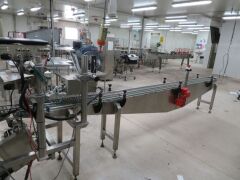 Punnet Labelling Line with conveyor - Twin Domino M Series (2012) Label printers and applicators - 4