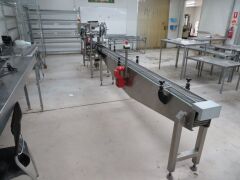Punnet Labelling Line with conveyor - Twin Domino M Series (2012) Label printers and applicators - 5
