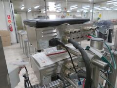 Punnet Labelling Line with conveyor - Twin Domino M Series (2012) Label printers and applicators - 13