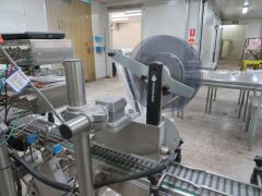 Punnet Labelling Line with conveyor - Twin Domino M Series (2012) Label printers and applicators - 19