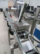 Punnet Labelling Line with conveyor - Twin Domino M Series (2012) Label printers and applicators - 21