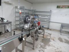 Punnet Labelling Line with conveyor - Twin Domino M Series (2012) Label printers and applicators - 24