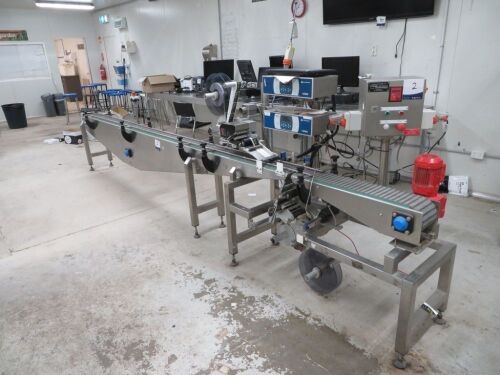 Punnet Labelling Line with conveyor - Twin Domino M Series (2012) Label printers and applicators