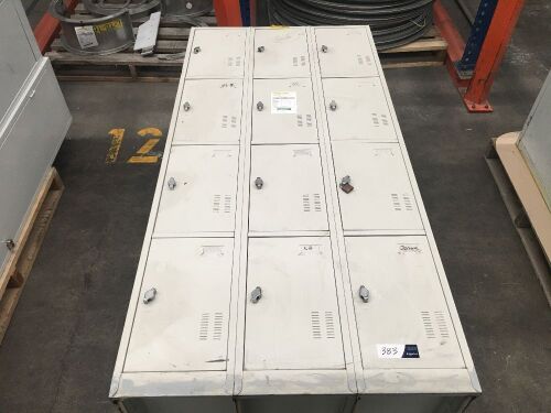 12 Door Metal Locker Unit, 880 x 500 x 1800mm H