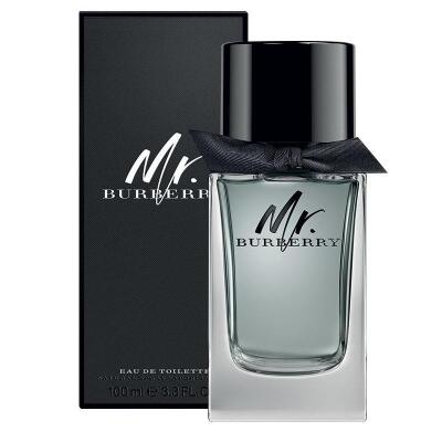 Burberry Mr Burberry 100ml Eau De Toilette Spray