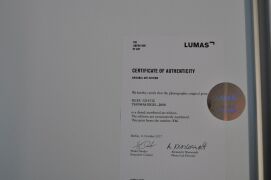 HLXU 5215512 by THOMAS EIGEL 2008, LUMAS - 5
