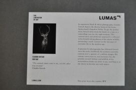 DER RUF by CLAUDIO GOTSCH 2011, LUMAS - 4