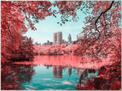 INFRARED NYC by PAOLO PETTIGIANI 2016, LUMAS - 2