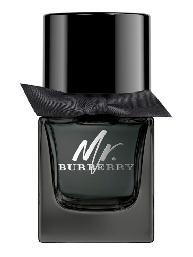 Burberry Mr Burberry Eau de Parfum 50 ML
