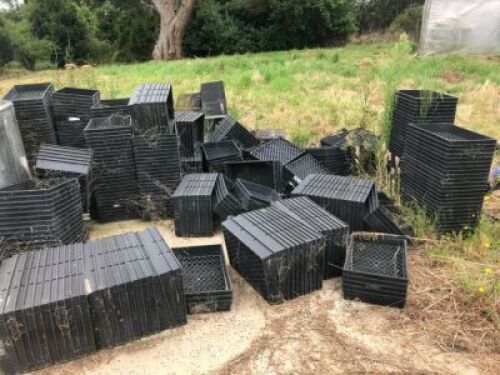 Large Quantity of Plastic Trays