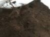 Potting Soil, Approx 2t total, Palletised & 2 x Bulker bags - 3