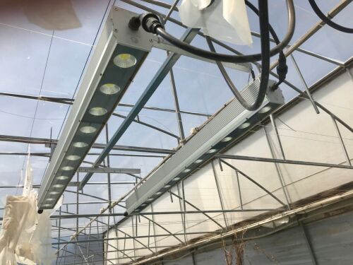 7 x Assorted LED Greenhouse propagation lights