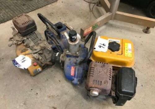 Dolphin Water Pump