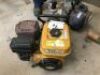 Dolphin Water Pump - 2