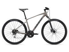 Giant Roam Disc 3 Metal L Men