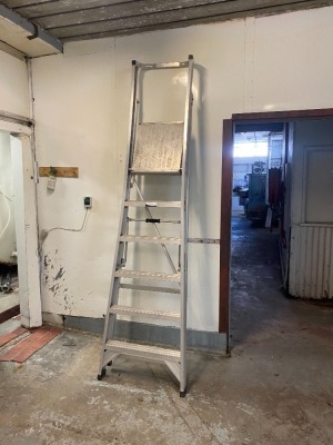 Guard All Aluminium Platform Step Ladder