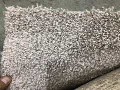Smartstrand Accent 819 / Shimmer Carpet Roll 10m - 2
