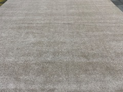 Creme Colour Carpet. 4.2m x 3.65 m - 4