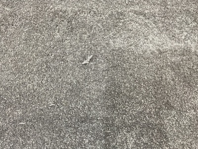 Light Grey Carpet 2.2m x 3.6m
