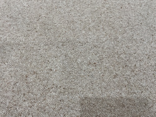Creme Peach Carpet 4.1m x 2.9m