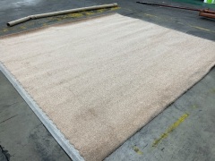 Carpet 3.7m x 3.47m - 3