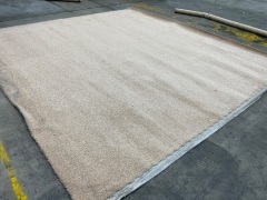 Carpet 3.7m x 3.47m - 5