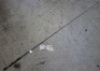 Bream Fishing Rod & Reel Combo - Shakespeare Wild Series