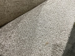 Strand Accent Shimmer Carpet Roll 6 m x 3.65 m - 2