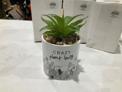 5 x Crazy Plant Lady Pot Plants - 3