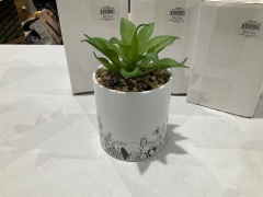 5 x Crazy Plant Lady Pot Plants - 4