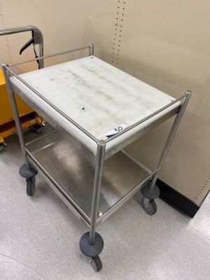 Stainless steel, 2 tier trolley with Nylon Trolley