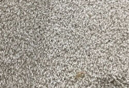 Strand Accent Shimmer Carpet Roll 6 m x 3.65 m
