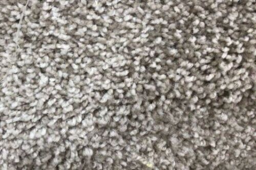 Smartstrand Accent 819 / Shimmer Carpet Roll 10m