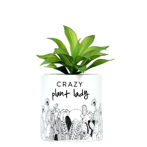 5 x Crazy Plant Lady Pot Plants