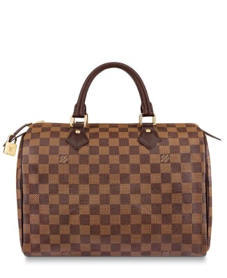 Louis Vuitton Speedy 30 Damier Ebene Canvas Handbag N41364