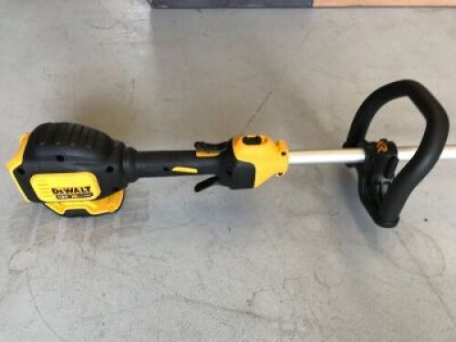DeWalt Cordless Brushcutter