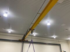 Austin Crane Gantry Crane - 5