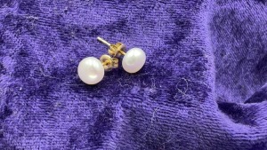 9ct Yellow Gold Freshwater Pearl Studs - 4